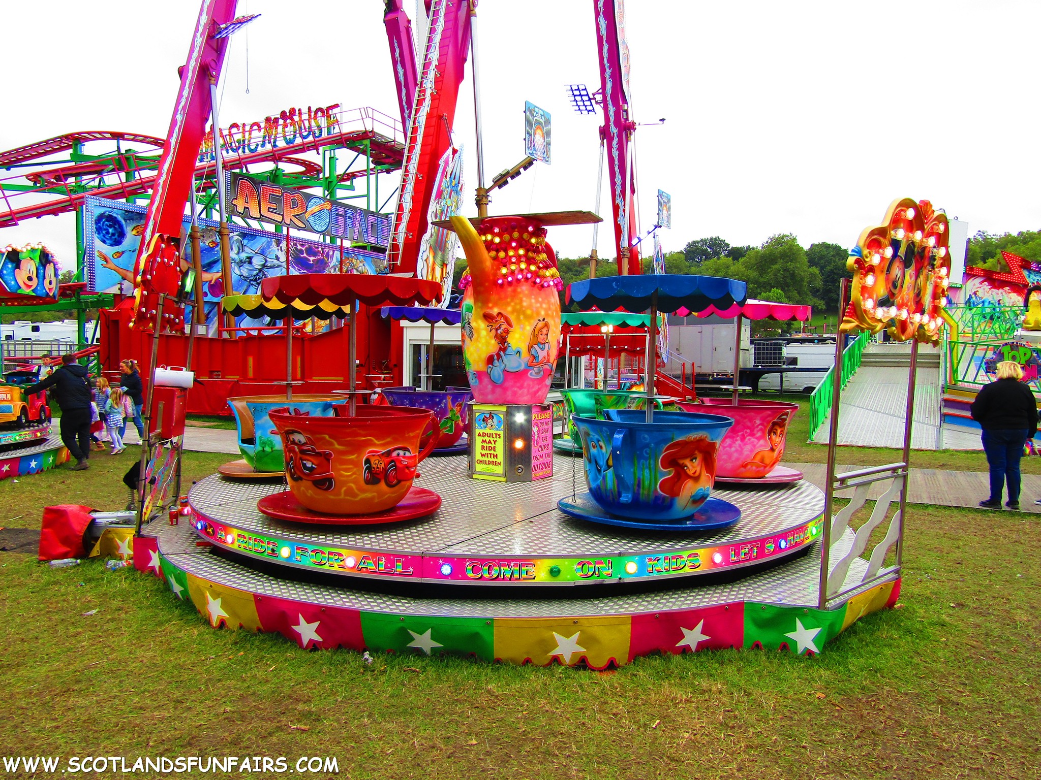 Unknown Teacups